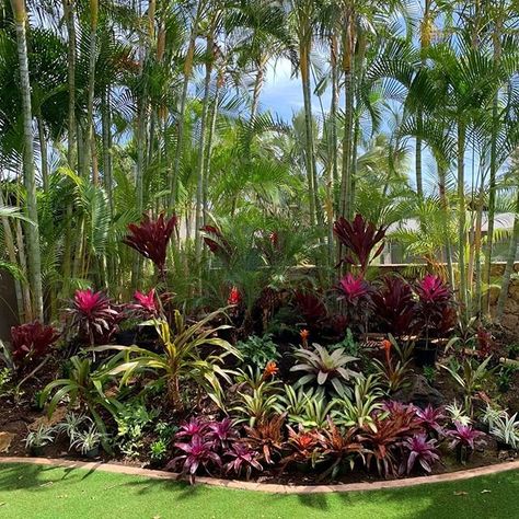 Hawaiian Landscape Design, Tropical Slope Landscaping, Hawaiian Garden Ideas, Hawaiian Landscaping Ideas, Florida Tropical Landscaping Ideas, Hawaii Landscaping, Tropical Landscaping Front Yard, Hawaiian Landscaping, Florida Plants Landscaping