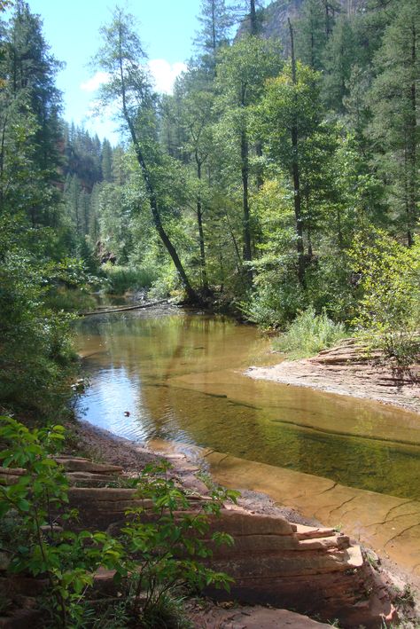 Oak Creek. Secret Mountain Wilderness Area. #Sedona #Arizona Arizona Forest, Emily Sedona, Oak Creek Canyon, Mountain Girl, Sedona Az, Desert Vibes, Travel Inspiration Destinations, Sedona Arizona, Desert Garden