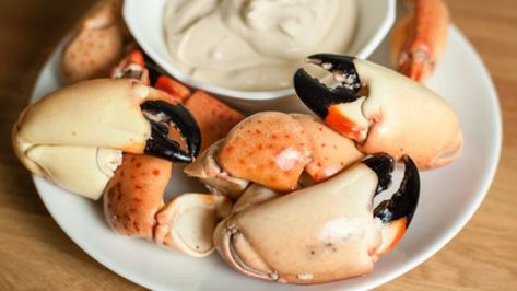 Stone Crab Sauce, Stone Crab Mustard Sauce, Crab Sauce Recipe, Crab Dinner, Crab Sauce, Mustard Sauce Recipe, Crab Appetizer, Bbq Platter, Florida Recipes