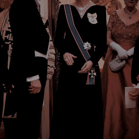 Politician Family Aesthetic, Modern Royals Aesthetic, American Royalty Aesthetic, British Nobility Aesthetic, Royal Aesthetic Modern, American Royals Aesthetic, Modern Prince Aesthetic, Royal Life Aesthetic, British Royal Family Aesthetic