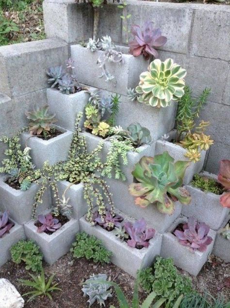 Succulent gardens have quickly become a fast growing craze. It’s not surprising seeing as how you can add succulents and grow them beautifully in virtually any climate. They are perfect for dry environments, and can be arranged just about anywhere from indoor patios to outdoor garden areas... Cinder Block Garden, نباتات منزلية, Upcycle Garden, Garden Types, Rock Garden Landscaping, Landscape Designs, Cinder Block, Backyard Fences, Diy Garden Projects