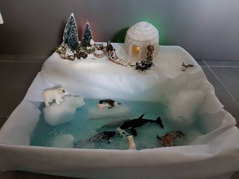 Biomes Project, Diorama Kids, Ecosystems Projects, Habitats Projects, Sensory Boxes, Christmas Origami, Winter Animals, Christmas Display, Animal Crafts