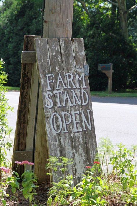 Farm Market Ideas, Farmers Market Display, Growing Cut Flowers, Vegetable Stand, Farm Gate, Fruit Market, Farm Business, Farm Store, Market Sign