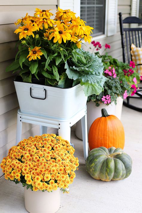 Black-eyed Susan, ornamental cabbage and croton planted in a enamelware wash tub on a fall front porch. Front Porch Fall Decorating Ideas, Fall Decor Porch, Porch Fall Decorating Ideas, Ornamental Cabbage, Porch Planters, Porch Rocker, Fall Decorating Ideas, Fall Planters, Fall Front Porch Decor