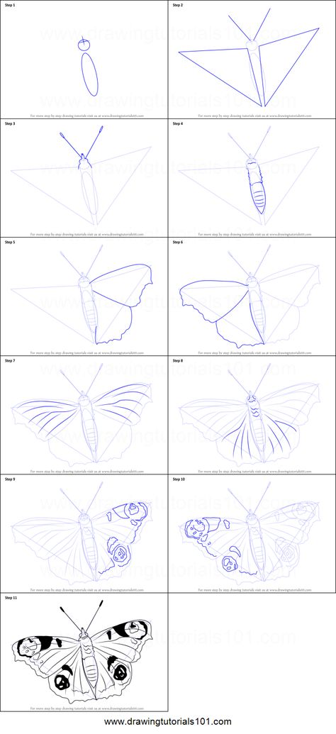 How to Draw a Peacock Butterfly printable step by step drawing sheet : DrawingTutorials101.com Trin For Trin Tegning, Easy Butterfly Drawing, Colourful Butterfly, Butterfly Art Drawing, Butterfly Tutorial, Peacock Butterfly, Flower Drawings, Drawing Step By Step, Color Butterfly