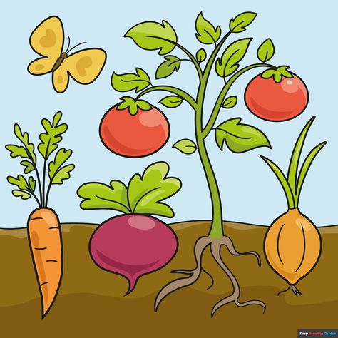 Learn How to Draw Vegetables: Easy Step-by-Step Drawing Tutorial for Kids and Beginners. See the full tutorial at https://easydrawingguides.com/how-to-draw-vegetables/ . Vegetables Drawing For Kids, Vegetables Sketch, Draw Vegetables, Draw Nature, Turkey Drawing, Vegetable Drawing, Easy Drawing Guides, Vegetable Cartoon, Vegetable Pictures