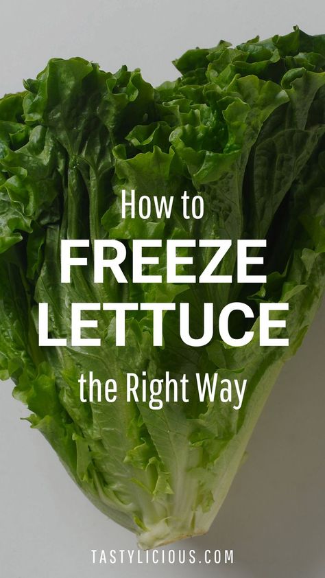 how long can you freeze lettuce | can you freeze lettuce leaves | how to use frozen lettuce | juice recipes | healthy smoothie recipes | smoothie recipes | green juice recipes for weight loss Leaf Lettuce Recipes, Cooked Lettuce Recipes, Lettuce Juice Recipe, Fruits And Vegetables List, Wilted Lettuce, Lettuce Recipes, Green Lettuce, Leaf Vegetable, Vegetable Benefits