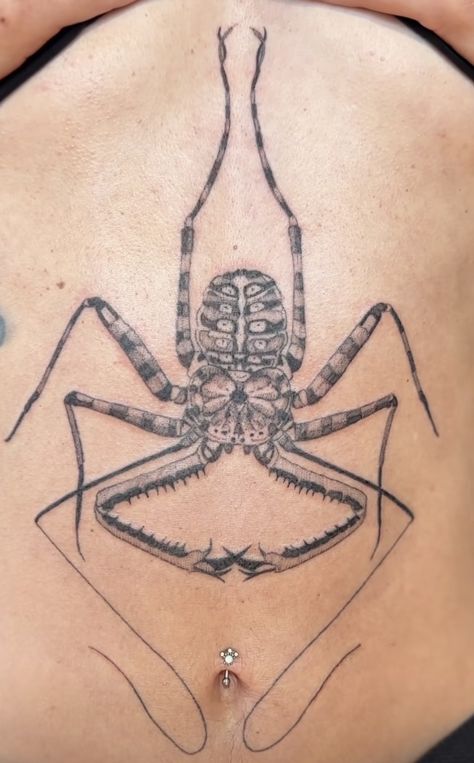 Cool Tramp Stamp, Tailless Whip Scorpion Tattoo, Whip Scorpion Tattoo, Bug Wings Tattoo, Bug Chest Tattoo, Earthworm Tattoo, Weevil Tattoo, Isopod Tattoo, Millipede Tattoo