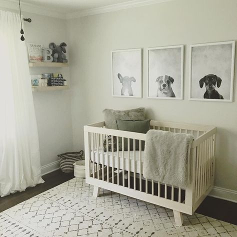 Chase Everett, Puppy Nursery Ideas, Dog Nursery Theme, Hudson Crib, Babyletto Hudson Crib, Puppy Dog Nursery, Puppy Nursery Theme, Puppy Nursery Decor, Babyletto Hudson