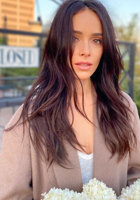 Abigail Spencer Hair, Nomad Hotel, Abigail Spencer, Female Actresses, American Actress, Brown Hair, Instagram A, Balayage, Long Hair