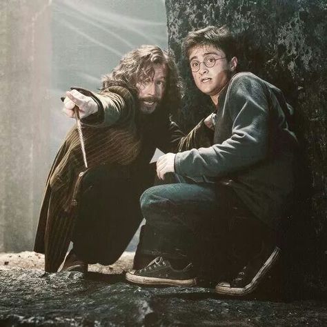 Harry Potter Sirius, Images Harry Potter, Harry Potter Tumblr, Harry Potter 2, Harry James Potter, Harry Potter Pictures, Harry Potter Film, Albus Dumbledore, Harry Potter Cast