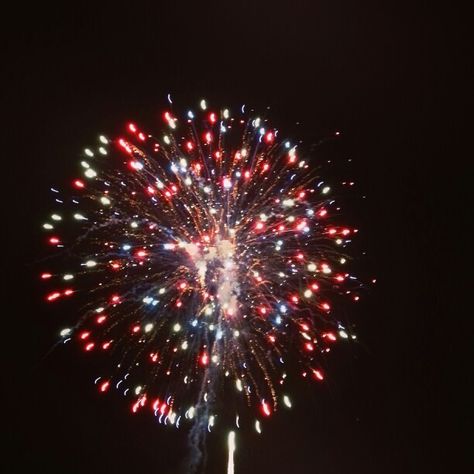 Red White And Blue Fireworks, Ldr Songs, Blue Fireworks, Red White And Blue, Red White Blue, Fireworks, White Blue, Dandelion, Red White