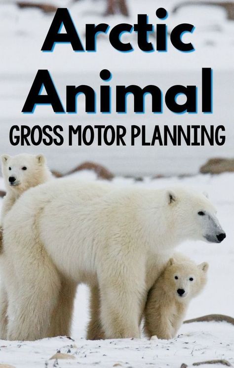 Arctic animal gross motor planning ideas for you! Have fun with these games and physical activity ideas for your arctic animal theme! #preschool #grossmotor #arcticanimal Owls Preschool, Arctic Animals Preschool Activities, Christmas Eyfs, Prek Lessons, Winter Animals Preschool, Arctic Animals Preschool, Penguin Unit, Pediatric Physical Therapy Activities, Antarctic Animals