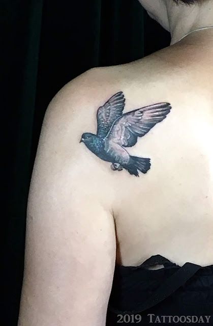 Pigeon Tattoo Design, Pigeon Tattoo, 22 Tattoo, Paris Tattoo, Flying Tattoo, Nyc Tattoo, Poppies Tattoo, Fox Tattoo, Tattoos For Kids