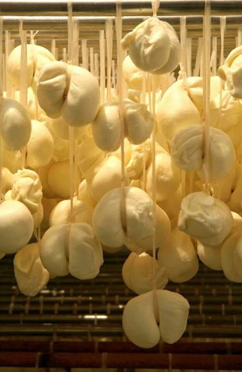 Scamorza Cheese, Molise Italy, Cheese Cave, Italian Pronunciation, Cow's Milk, Lactation Recipes, Italy Food, Italian Cheese, Cheese Shop