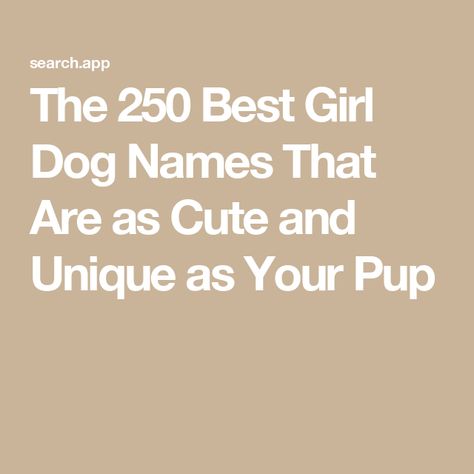 The 250 Best Girl Dog Names That Are as Cute and Unique as Your Pup Girl Dogs Name, Top Girl Dog Names, Best Girl Dog Names, Girl Dog Names Unique, Dog Names Girl, Dog Names Unique, Girl Dog Names, Top Girl, Summer Recipes Dinner