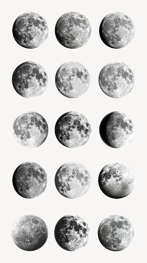 Editable Full moon design element set | premium image by rawpixel.com / Extra Moon Phases Illustration, Full Moon Design, Astronomy Design, About Moon, Moon Moon, Aesthetic Things, Moon Design, Coven, Digital Sticker