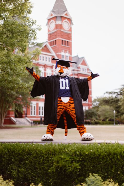 Auburn Graduation Pictures, Auburn Graduation, Graduation Picture Ideas, Graduation Inspiration, Grad Portraits, Grad Poses, Grad Pictures, Graduation Pics, College Graduation Pictures