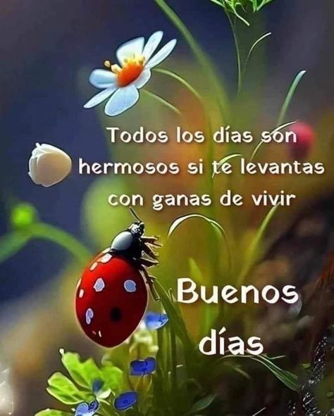 Susi Rejano, Sunshine Photos, Good Morning In Spanish, My Children Quotes, Good Morning Inspiration, Good Morning Animation, Good Sentences, Good Day Quotes, Morning Inspiration