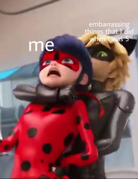 Cat Noir Funny, Funny Miraculous Ladybug, Miraculous Meme, Funny Miraculous, Miraculous Memes, The Ladybug, Funny Disney Jokes, Miraculous Ladybug Oc, Miraculous Ladybug Memes