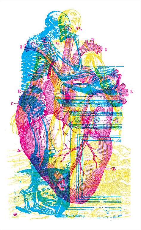 Cmyk Art, 타이포그래피 포스터 디자인, Human Heart, Glitch Art, Ap Art, A Level Art, Poster Retro, Anatomy Art, Funky Art