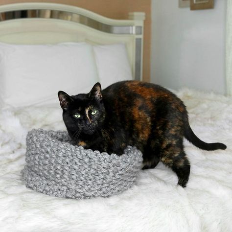 Easy Cat Bed Free Knitting Pattern Chunky Knit Cat Bed, Knit Cat Bed, Cat Bed Pattern, Cat Pod, Knit Cat, Cat Patterns, Cozy Cat, Knitted Cat, Cat Beds