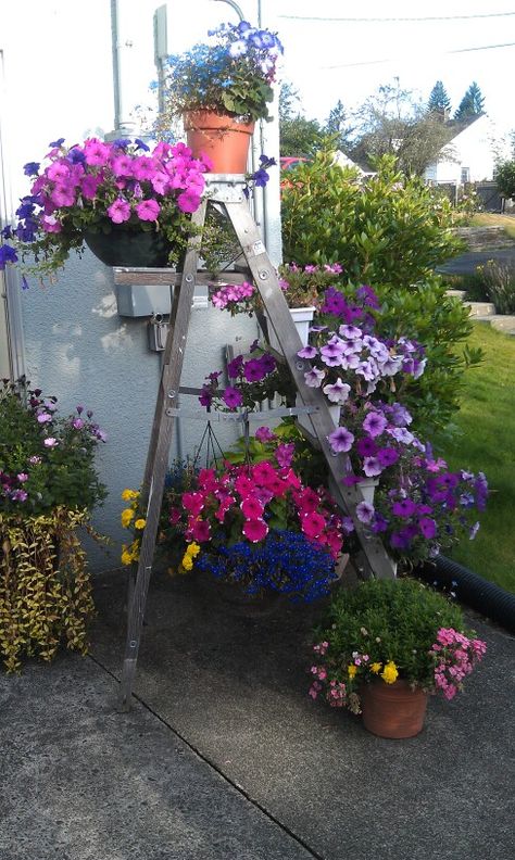 Flower Ladder, Garden Ladder Ideas, Wooden Ladders, Ladder Ideas, Garden Ladder, Outdoor Gardens Landscaping, Patio Flowers, Backyard Greenhouse, Plant Hacks