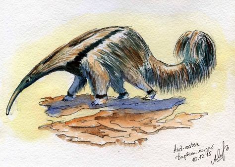 https://flic.kr/p/C2VaXG | Ant-eater | At Darwin Museum, Moscow Ant Eater Drawing, Anteater Art, Ant Eater, Magical Animals, Alphabet Animals, Types Of Art, Creature Art, Animal Illustration, Ants