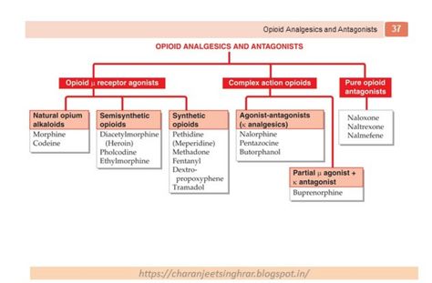 Opioid analgesics amd antagonists Opioids Pharmacology, Medical Stickers, Medical School Essentials, School Essentials, Pharmacology, Medical School, Medicine, Medical, Quick Saves