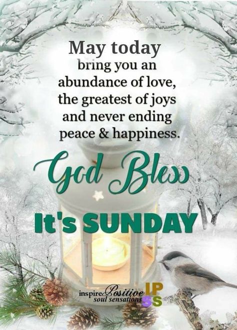 Morning Sunshine Quotes, Sunday Morning Prayer, Sunday Morning Wishes, Blessed Sunday Morning, Happy Sunday Images, Sunday Prayer, Happy Sunday Morning, Sunday Morning Quotes, Good Sunday Morning