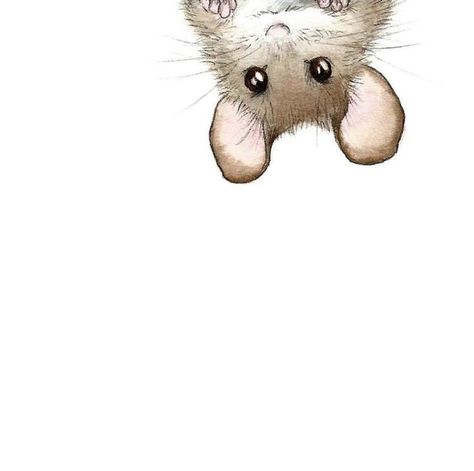 Maus Illustration, Mouse Illustration, Mouse Drawing, Watercolor Pictures, Less Is More, A Mouse, Cute Illustration, Animal Drawings, Amazing Art