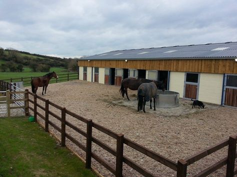 Nice little sacrifice paddock - would build a covered feeder for hay so that they would be able to eat without wasting and making a mess. Horse Dry Lot Ideas, Horse Paddock Ideas, Paddock Ideas, Horse Farm Layout, Perfect Yard, Small Horse Barns, Horse Shed, Horse Farm Ideas, Horse Paddock