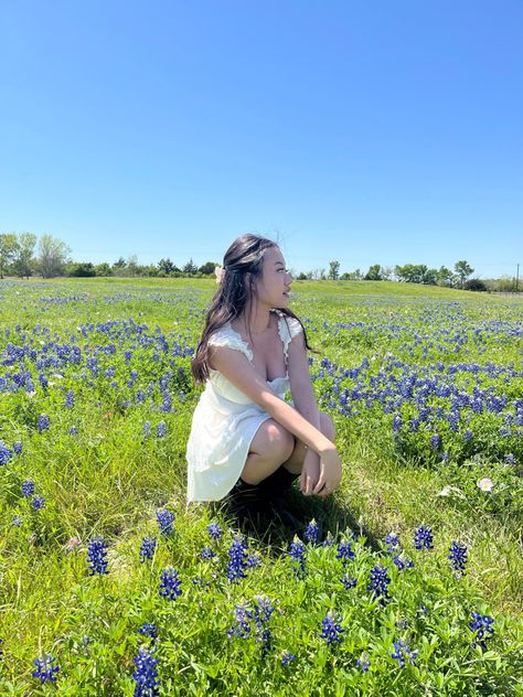 girl sitting in a bluebonnet field under a blue sky Bluebonnet Senior Pictures, Blue Bonnet Photoshoot, Lavender Farm Photoshoot, Bonnet Photoshoot, Bluebonnet Photoshoot, Bluebonnet Photos, Bluebonnet Pictures, Bluebonnet Field, Field Senior Pictures