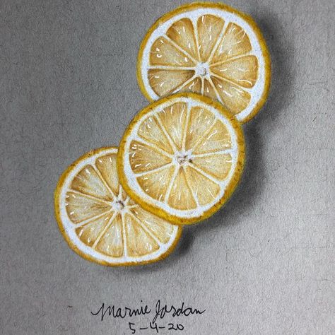 Lemon And Lime Drawing, Drawings Of Lemons, Lemon Slices Drawing, Lemon Pencil Drawing, Lemon Slice Painting, Lemon Slice Drawing, Colored Pencil Artwork Ideas, Lemon Drawing, Alevel Art