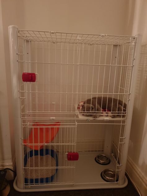 Is it cruel to lock my 5 month old kitten in this cage overnight? The cage is in my bedroom. 5 Month Old, The Cage, My Bedroom, Big Money, How To Make Shorts, Box Fan, Earn Money, Bedroom