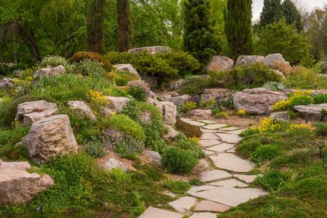 Try these low-water landscaping designs with boulders, stones and rocks. Boulder Garden, Drought Resistant Landscaping, Low Water Landscaping, Landscaping A Slope, Low Water Plants, Alpine Garden, Denver Botanic Gardens, Drought Tolerant Garden, Landscaping With Boulders