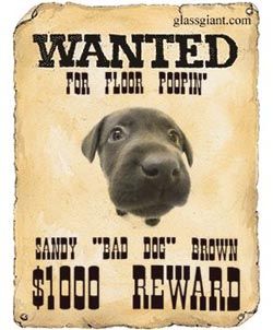 Wanted Poster  Turn your picture into a "wanted" poster. You can use the poster graphic to personalize a website or blog, use it as a MSN display image, or email it to your friends. Breakout Edu, Breakout Boxes, Summer Camp Themes, Police Party, 5th Grade Social Studies, Poster Graphic, Escape Games, Friends Poster, Wanted Poster