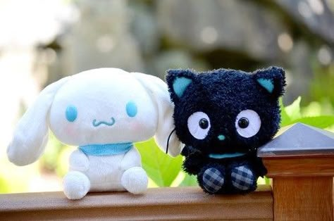 Chococat And Cinnamoroll, Choco Cat, Toro Inoue, Kawaii Plush, Little Twin Stars, Fluttershy, Cute Plush, Sanrio Characters, Couple Halloween Costumes