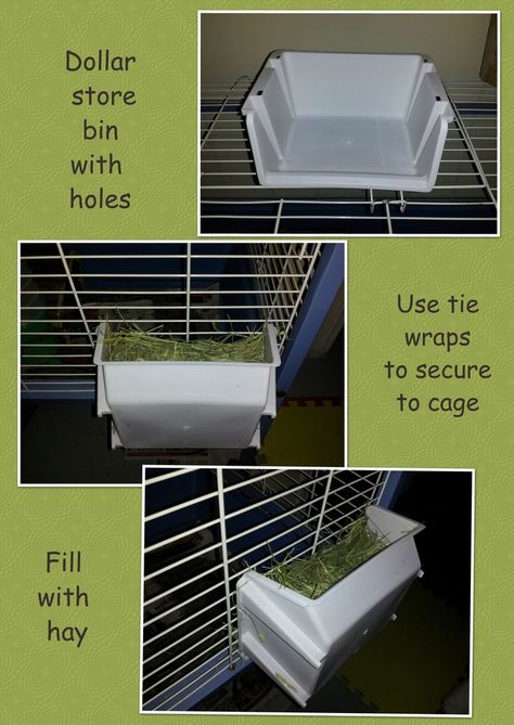 Create a cheap hay rack for your guinea pig or rabbit. It keeps hay from falling… Cavy Cage, Guinea Pig Diet, Hay Rack, Guinea Pig Diy, Bunny Ideas, Raising Rabbits, Pet Bunny Rabbits, Indoor Rabbit, Rabbit Cages