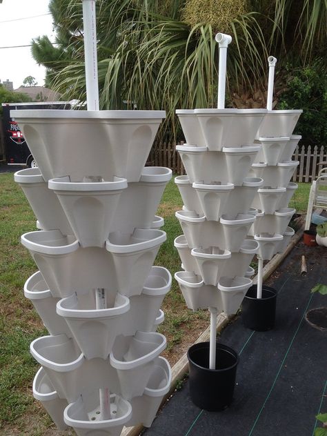 Mr Stacky, Stacking Planters, Stackable Planters, Vertical Garden Planters, Strawberry Planters, Hydroponics Diy, Plant Tips, Outdoor Trellis, Bean Plant