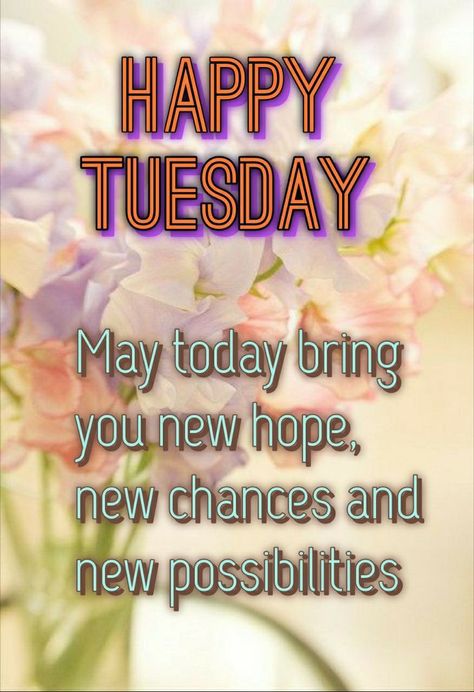 Happy Tuesday Quotes Inspiration, Thoughtful Tuesday, Tuesday Motivation Quotes, Weekly Greetings, Tuesday Quotes Good Morning, Tuesday Images, Tuesday Greetings, Morning Energy, Tuesday Inspiration