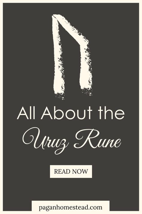 Check out all about the Uruz Rune. Learn its meaning, symbolism, and more. Rune Uruz, Uruz Rune, Futhark Alphabet, Elder Futhark Alphabet, Old English Alphabet, Runes Meaning, Rune Reading, Elder Futhark, Letter U