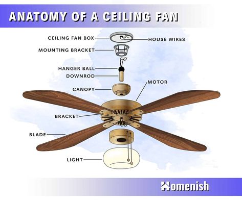 Ceiling fans are a very useful appliance that can make a room feel more comfortable. They do not alter the temperature of a room but instead redistribute air in a more advantageous way. Ceiling fans are commonly used during summer when they push cool air downwards to create a refreshing breeze, but they can also be utilized in winter to drag cool air upwards to make a room feel warmer. Fan Repair, Ceiling Fan Parts, Hunter Ceiling Fans, Ceiling Fan Blades, House Wiring, Diagram Design, Box Houses, Fan Accessories, Circuit Diagram