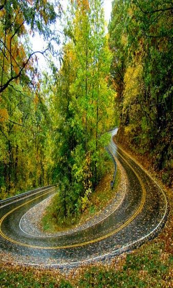 Google+ Road Perspective, Beautiful Roads, Country Roads Take Me Home, Scenic Roads, Winding Road, Back Road, Scenic Routes, Alam Yang Indah, Open Road