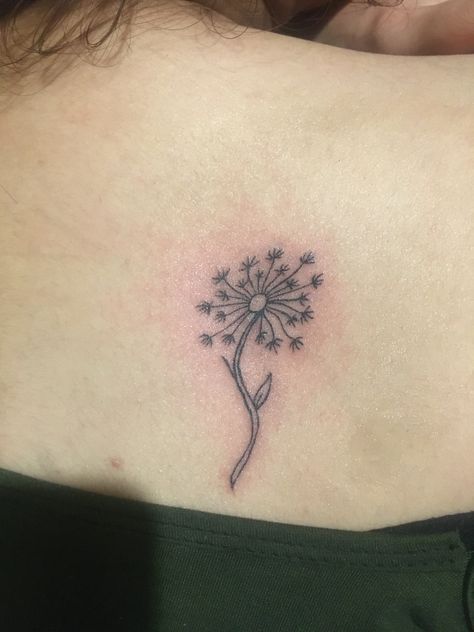 Tattoo Linework, Dandelion Tattoo, Tattoo Work, Leaf Tattoos, Maple Leaf Tattoo, Blackwork, I Tattoo, Dandelion, Tattoos