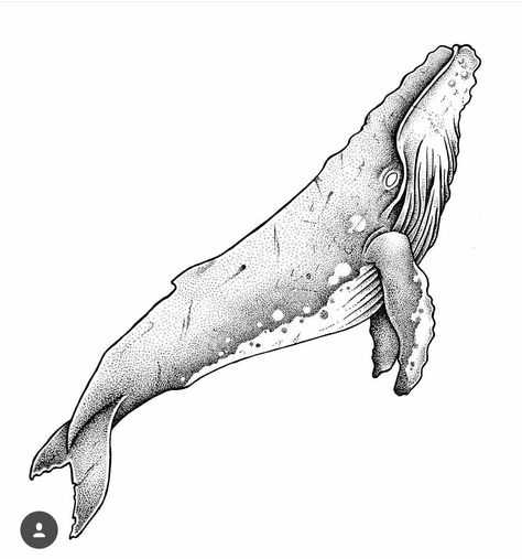 Whale Sketch Tattoo, Humpback Whale Sketch, Tattoo Idea Simple, Whale Drawing Simple, Wale Tattoos, Whales Drawing, Humpback Whale Drawing, Whale Tattoo Design, Whale Sketch