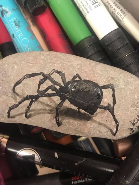 Spider Painted Rocks, Stuff To Paint, 3 D Art, Bug Art, Stone Rocks, Pebble Art, Spider Web, Spiders, Painted Rocks