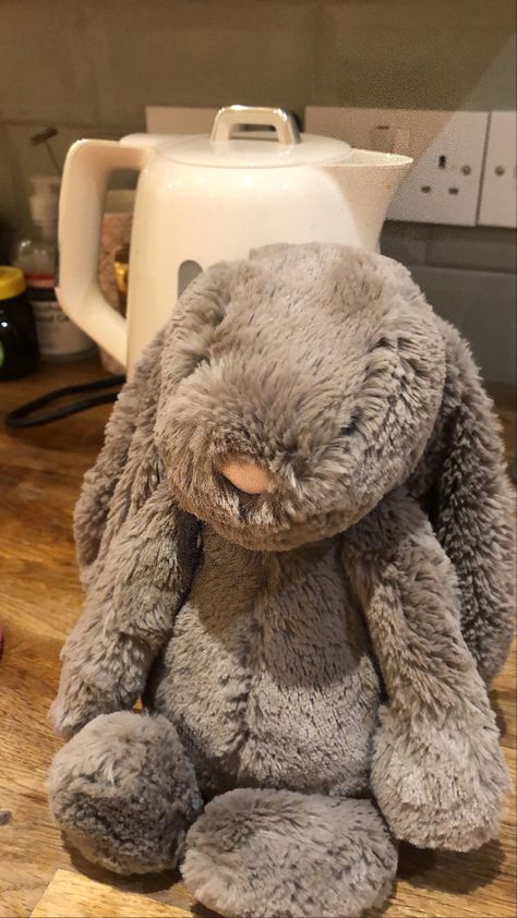 Jellycat Smudge Elephant, Jellycat Bunny, Jelly Cat, Jellycat Stuffed Animals, Cute Presents, Girl Sleeping, Cute Stuffed Animals, Build A Bear, Cute Plush