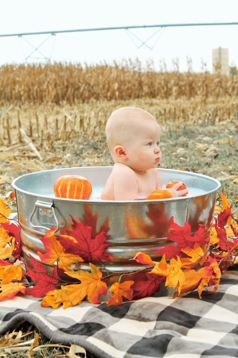 Photos With Pumpkins, Fall Milk Bath, Halloween Baby Pictures, Fall Baby Photos, Bath Photos, Baby Holiday Photos, Baby Milk Bath, Milk Bath Photos, Fall Baby Pictures