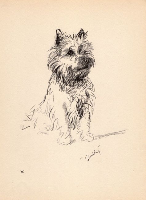 Vintage Cairn Terrier Print Wall Art Decor 1940s Lucy Dawson Cairn Terrier 5518y Terrier Illustration, Decor Gallery Wall, Birthday Friend, Dog Sketch, Dog Artwork, Puppy Prints, Dog Print Art, Cairn Terrier, Illustration Wall Art